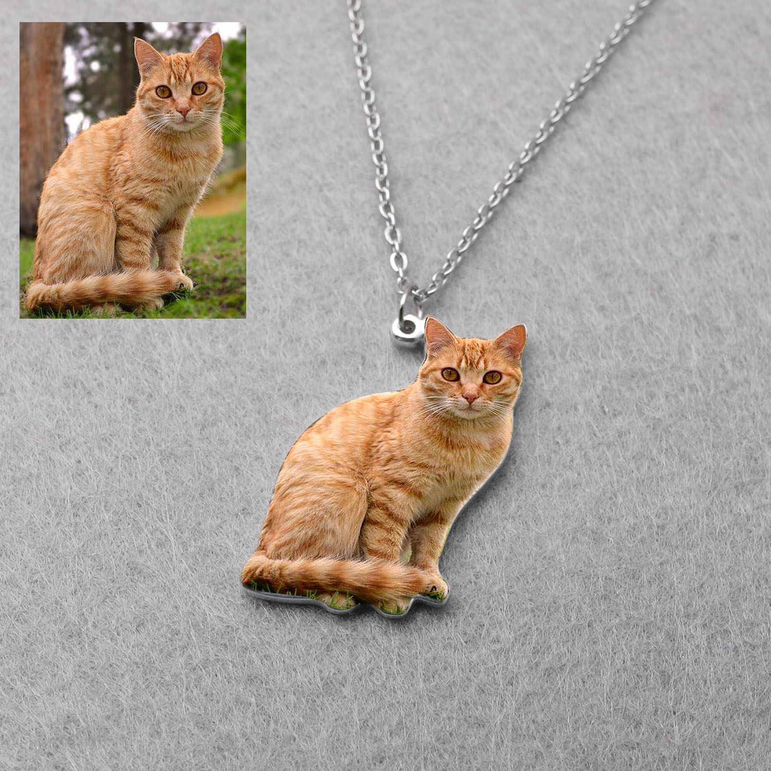 قلادة مخصصة بصورة حيوانك الألي - مراجعة Pet Portrait Custom وسعره