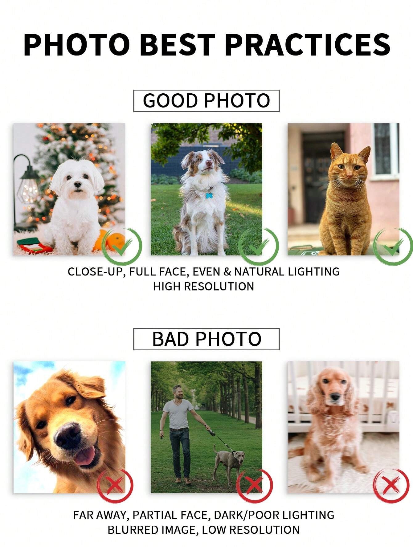 إطار صور مخصص لصور الحيوانات ا - مراجعة Pet Portrait Custom وسعره